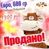 Сладкий Новогодний подарок Евро, 600 гр